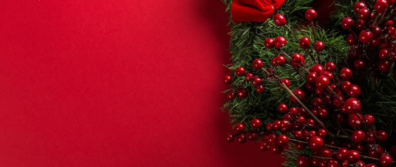 Experience the Ultimate Caribbean Christmas at Adult-Only Luxury Resorts in Punta Cana